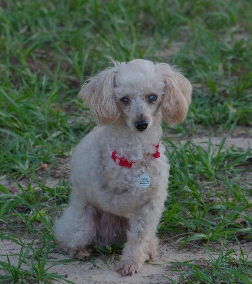 Photo 2 of Leeda