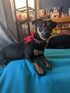 Roxy