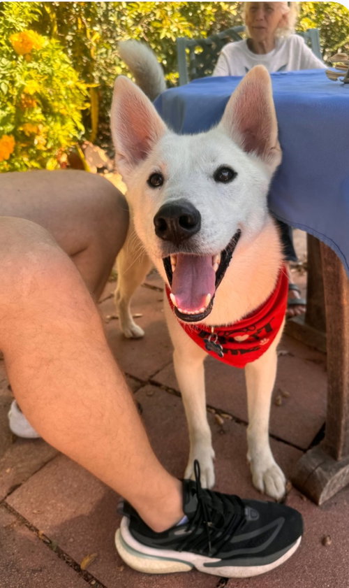 Jake