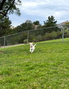 Mia - Photo 2