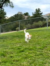 Mia - Photo 3