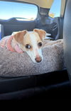 Mia - Photo 6