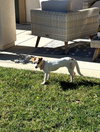 Mia - Photo 8
