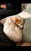 Mia - Photo 9
