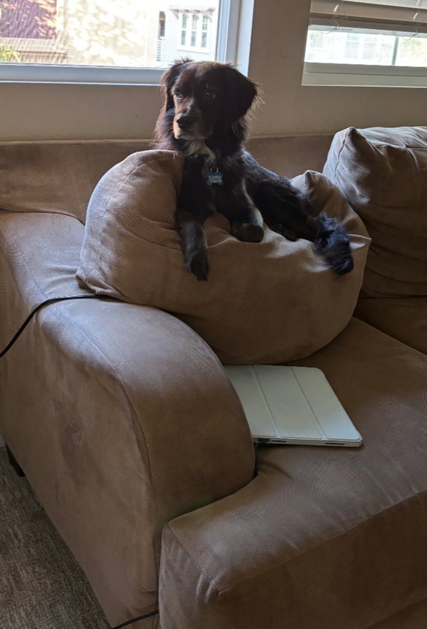 Gracie