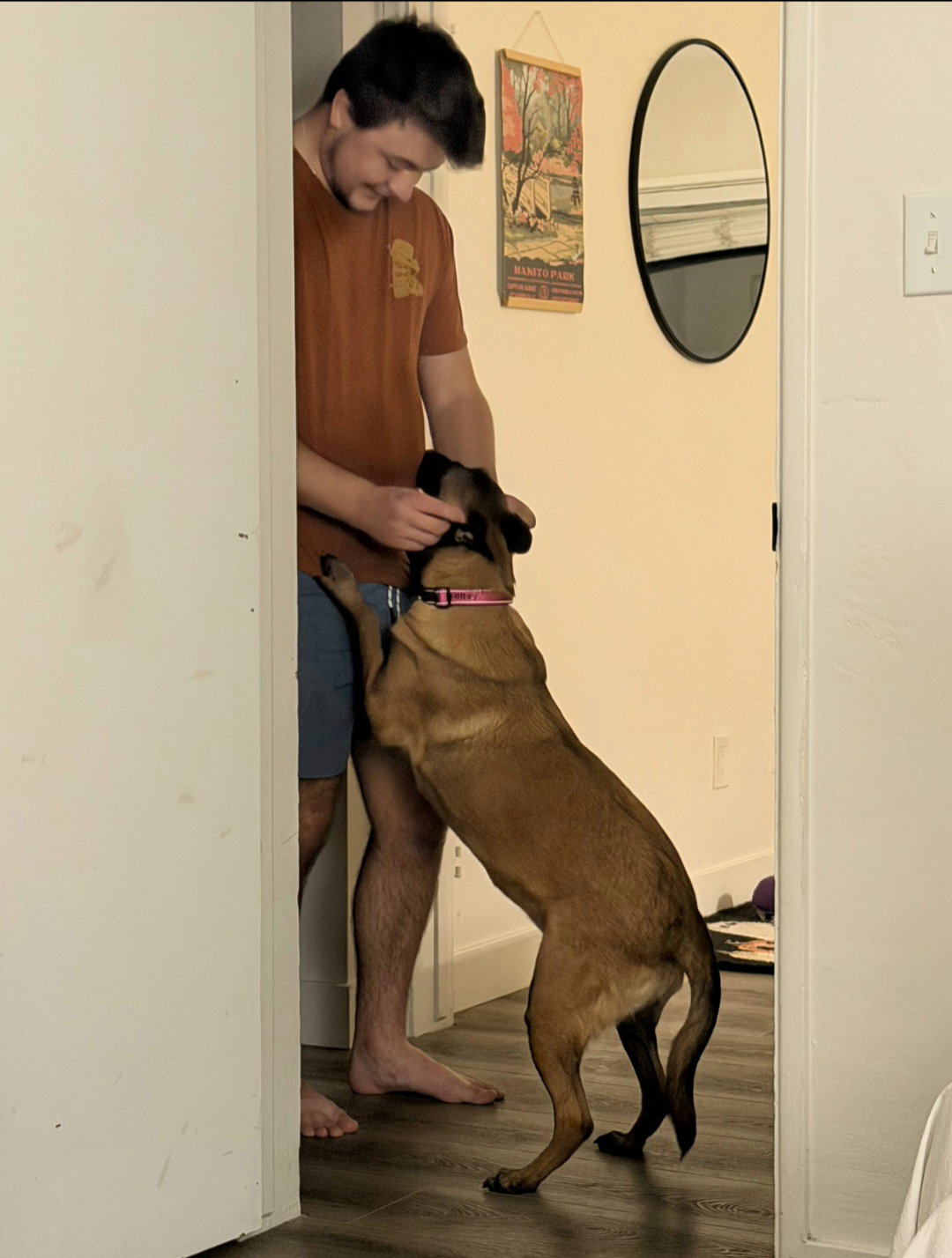 Sheba, photo 13