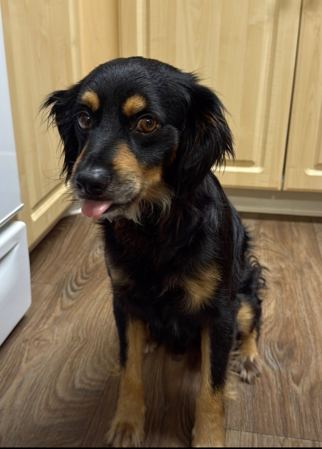 Rocky, photo 7