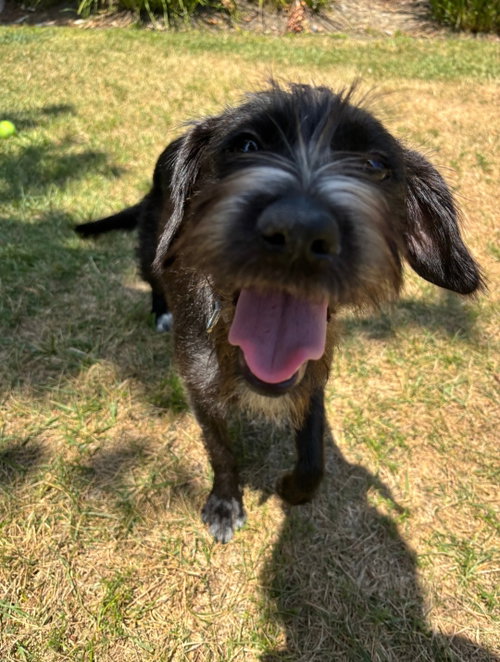 Molly photo 2