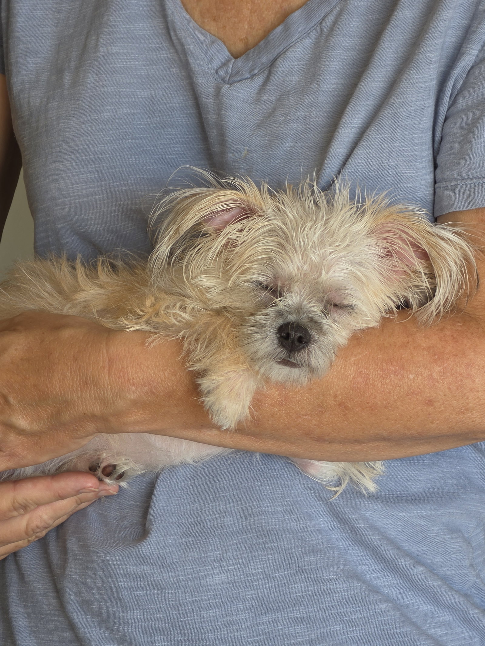 Lena, photo 3