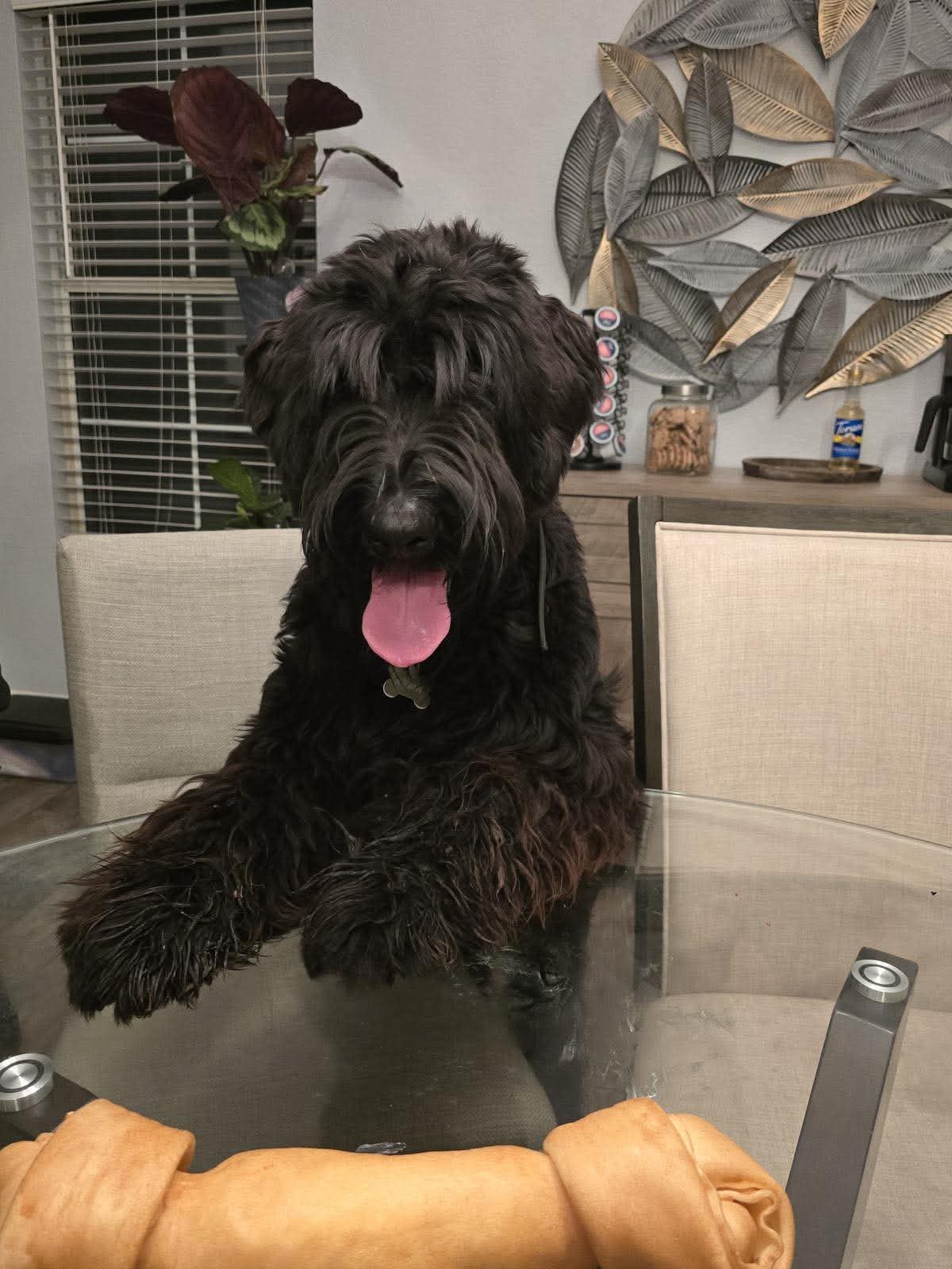 Kuma