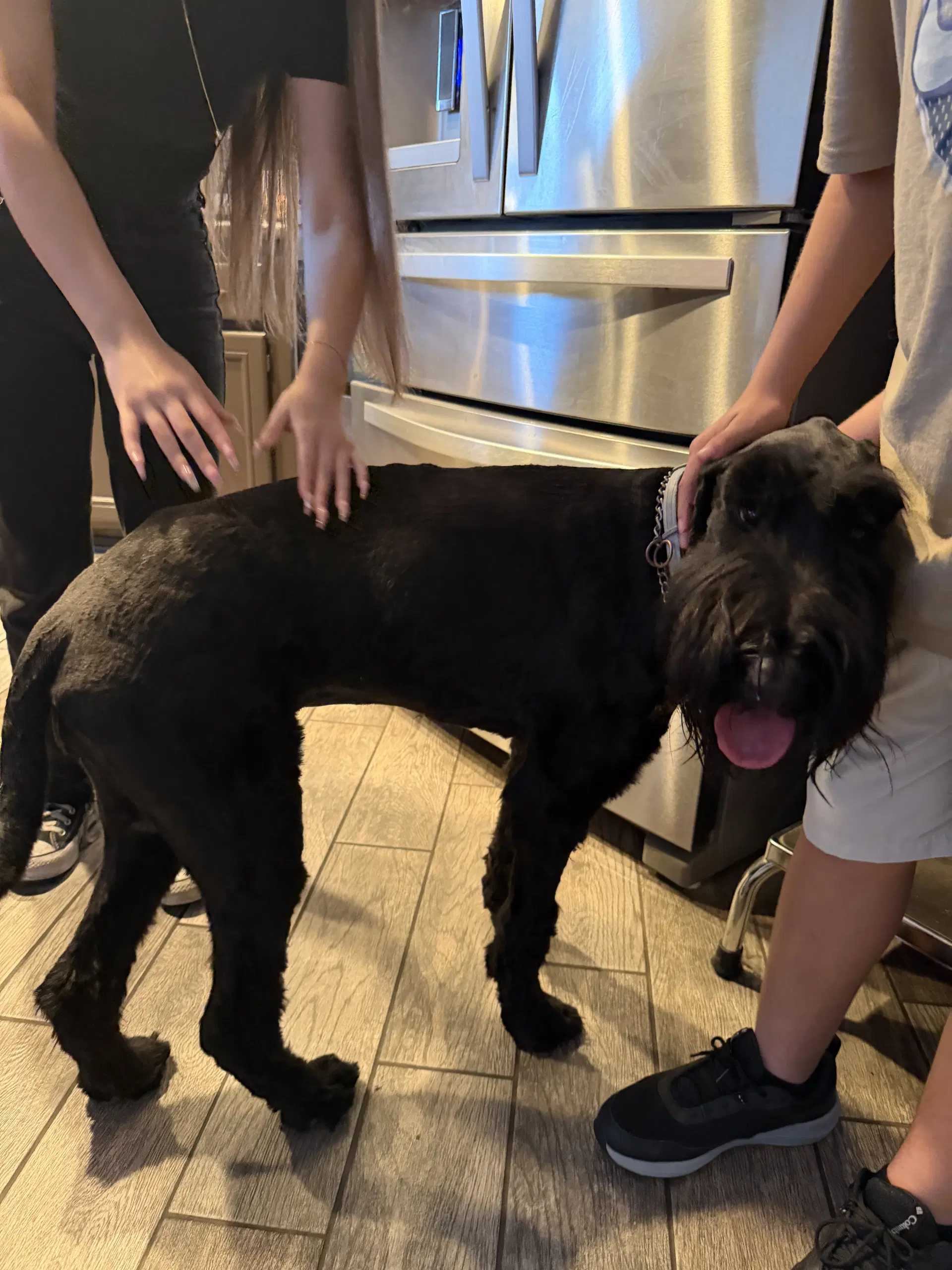 Kuma image 3
