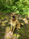 Tooger - Photo 1