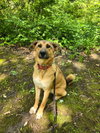 Tooger - Photo 2