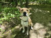 Gabe - Photo 3