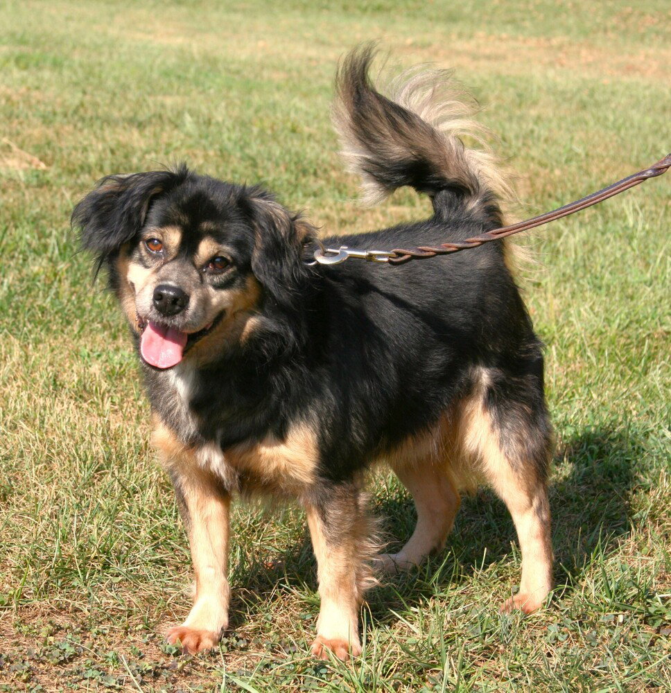 Houdini, photo 2