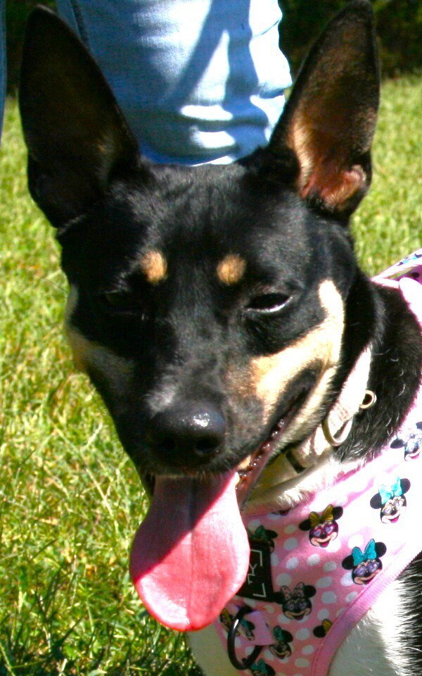 Roxie