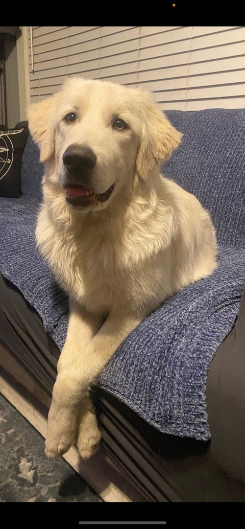 Opal