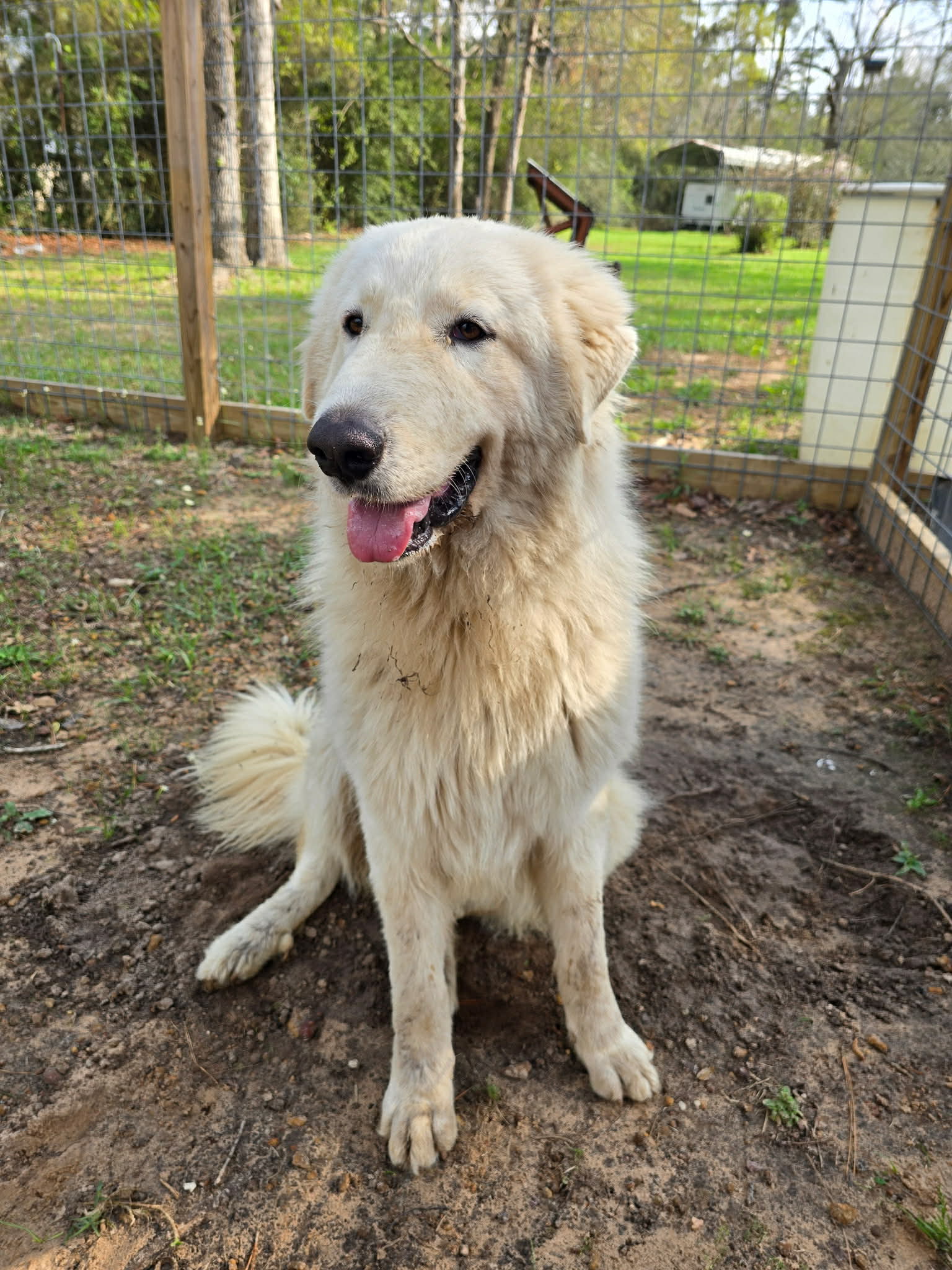 Heidi