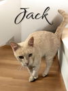 Jack