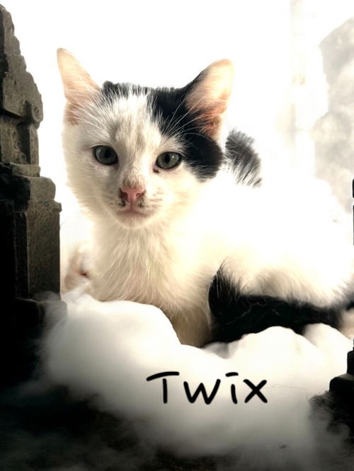 Twix