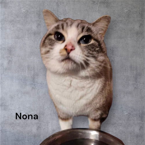 Nona