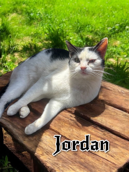 Jordan