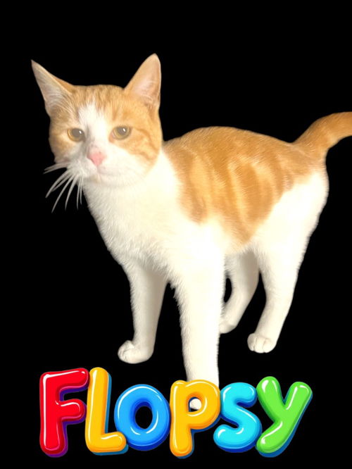 Flopsy