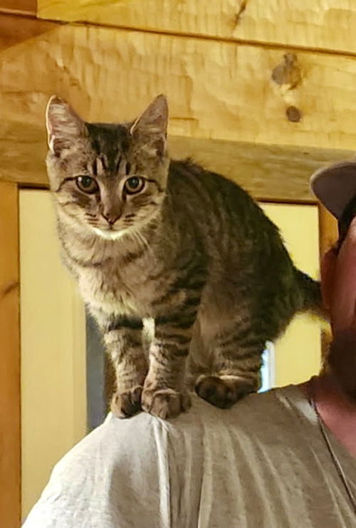 AJ
