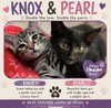 Kittens, kittens, kittens! - Photo 4