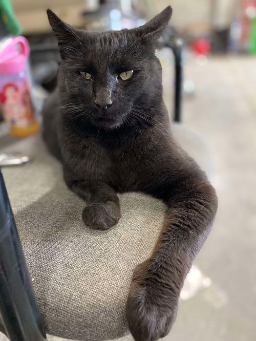 Binx
