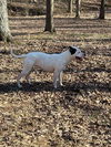 Milly