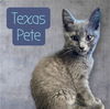 Texas Pete