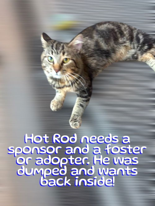 Hot Rod