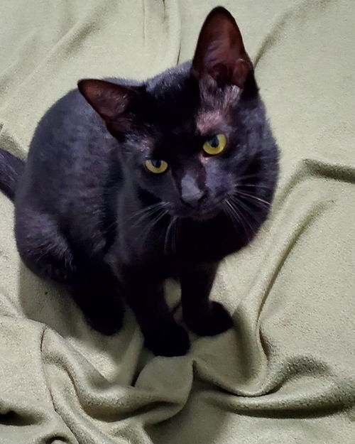 Lucy Lou