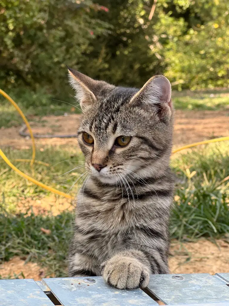 Little One image 2
