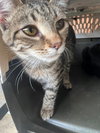 Little One - Photo 4