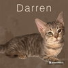 Darren - Photo 2