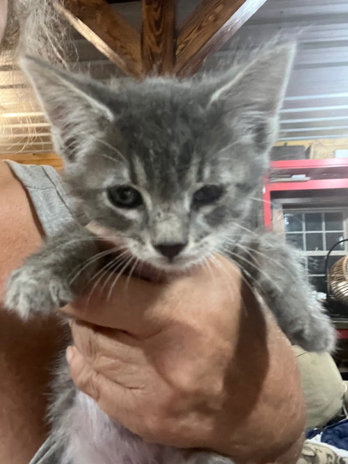 Winnie photo 3