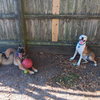 Delta - located in Florida - Photo 4