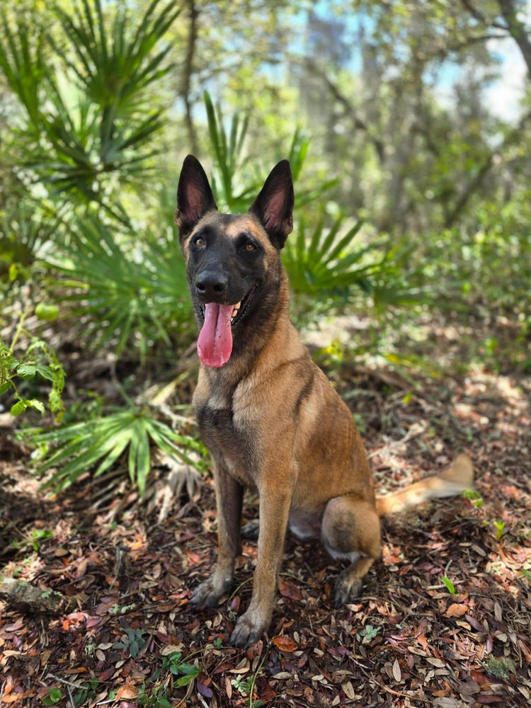 Molly - Located in Florida
