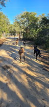 Molly - Located in Florida - Photo 2