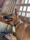 Mira - Located in IA - Photo 2