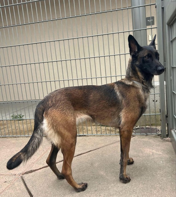 Onyx - Located in CA