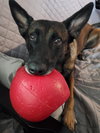 Onyx - Located in CA - Photo 1