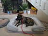 knox located in New Mexico - Photo 2