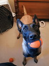 ROMY - Located in MI - Photo 2