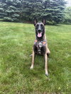 ROMY - Located in MI - Photo 3