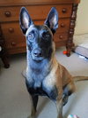 ROMY - Located in MI - Photo 4