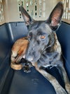 Bonnie Bell in New Mexico - Photo 2