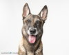 Maggie May - Located in Florida - Photo 1